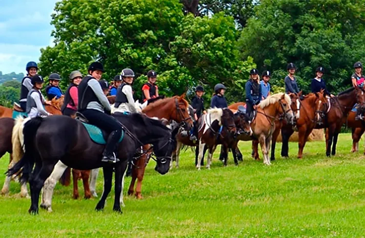 Equestrian Academy