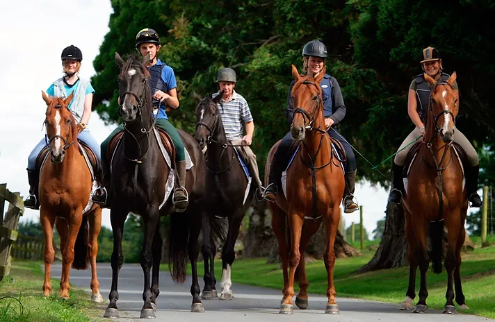 Equestrian Academy