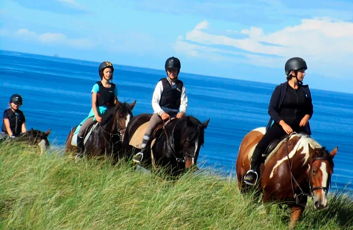 Equestrian Academy