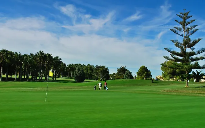 Golf Academy