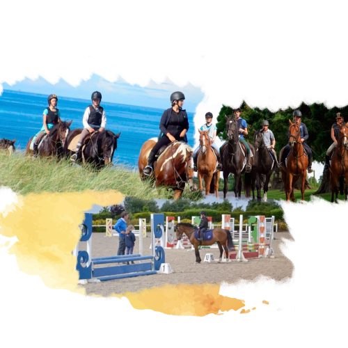 Equestrian Academy